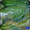 Natural Water Feature