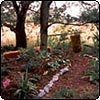 Wrong Place for Rhododendrons