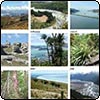 New Zealand Journeys Calendar 2009