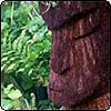  New Zealand Ora - Garden of Well Being 