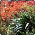 The Hen House Garden in Autumn