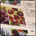 Presenting The 2009 Seed Catalogue