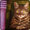  In Memory - Sifter the Cat 