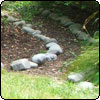 New Paths in Middle Garden
