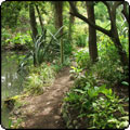 A Path Around the Pond