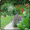 House Path