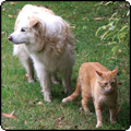 Moosey News : December 2010