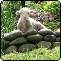  You're a Good Lamb, Stu... 