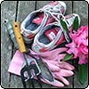 Think Pink