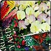  July Holiday - 3 
