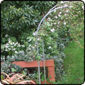 Pond Garden Arch