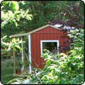 2010 November Week  2 - More