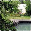  Pond Paddock 