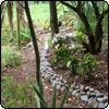  Garden Pond Path 