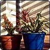 Garden Pots
