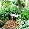 Virtual Gardening