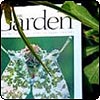 The Garden