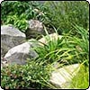 Rockery