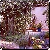 Rose Arch