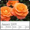  Roses-2 Calendar 2009 
