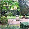  Sydney Botanic Gardens 