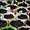  September Week 1 - More 
