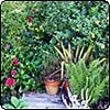  Septic Tank Garden Cover 