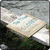 The Plank