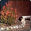  Stables Garden Bench 