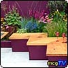 Summer Cocktail Small Garden