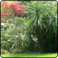 Shrubs and Spikes