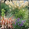  Grasses-and Toetoes 