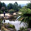  Mount Tomah Botanic Gardens 