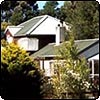 House in the Trees