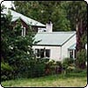House in the Trees