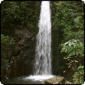  Washpen Falls Track 