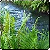 Water under the Bridge