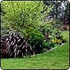 Water Race Gardens - Ten Years On