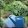 Watering Cans