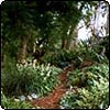  Wattle Woods Garden Paths 