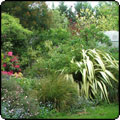 Late Spring Garden Border