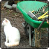Moosey Wheelbarrow