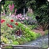 Waterside Garden