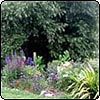 Perennial Garden