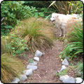 Willow Tree Garden Paths