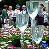 Wine Glass Garden