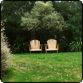 2011 June Week 4