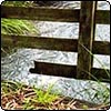Gate Over Water Race