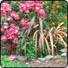 New Paths in Middle Garden