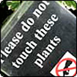  Gardening Articles from 2009 